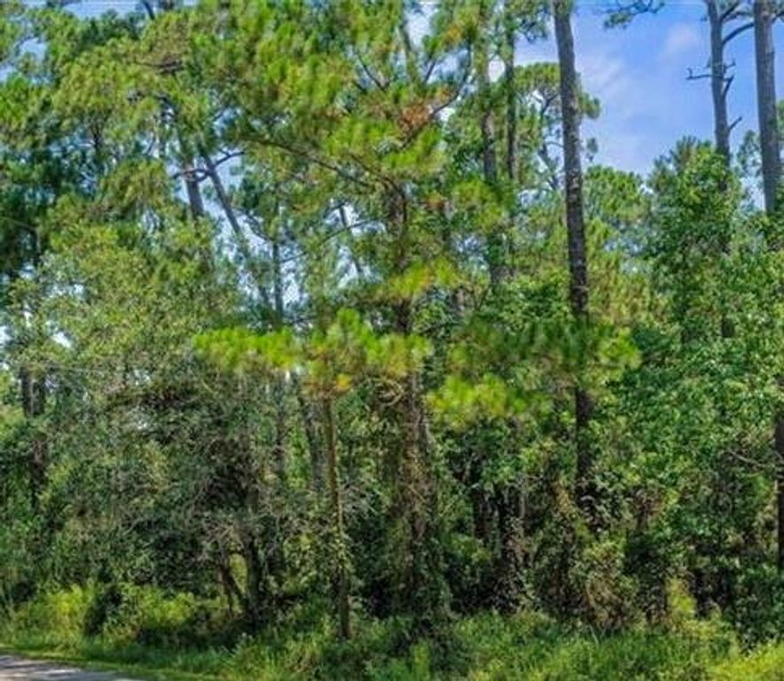 158 Orleans Drive, Dauphin Island, AL 36528 — exterior