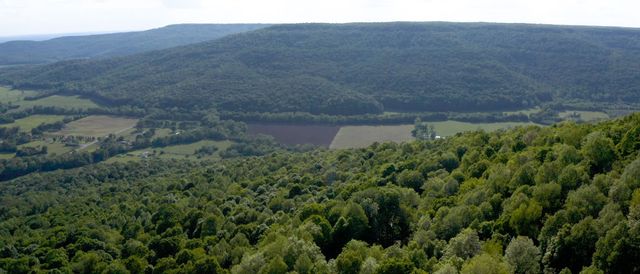 256 Vista Vue Trl, Pelham, TN 37366