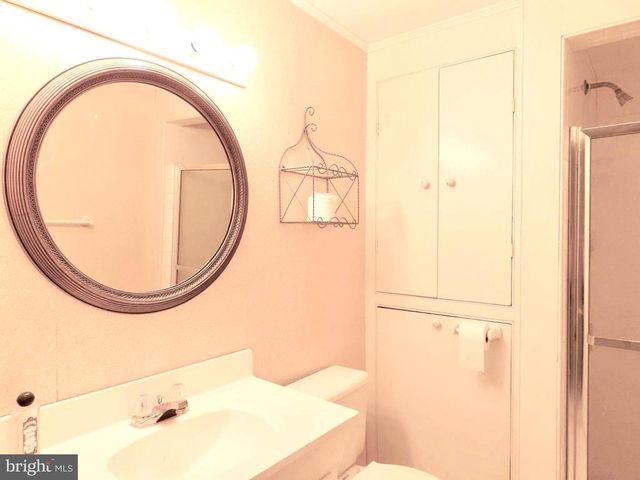419 RUDASILL MILL RD, Woodville, VA 22749
