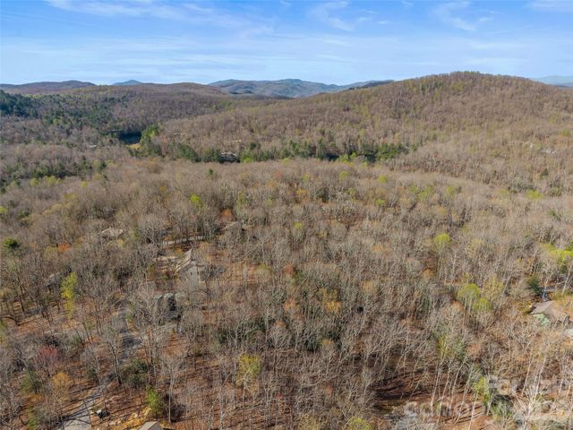 TBD White Oak Terrace 9, Brevard, NC 28712