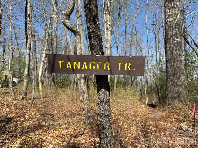 TBD White Oak Terrace 9, Brevard, NC 28712
