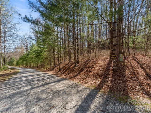 TBD White Oak Terrace 9, Brevard, NC 28712
