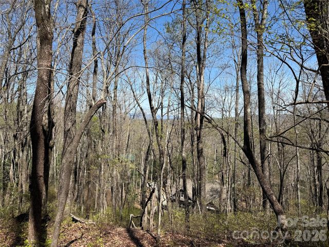 TBD White Oak Terrace 9, Brevard, NC 28712
