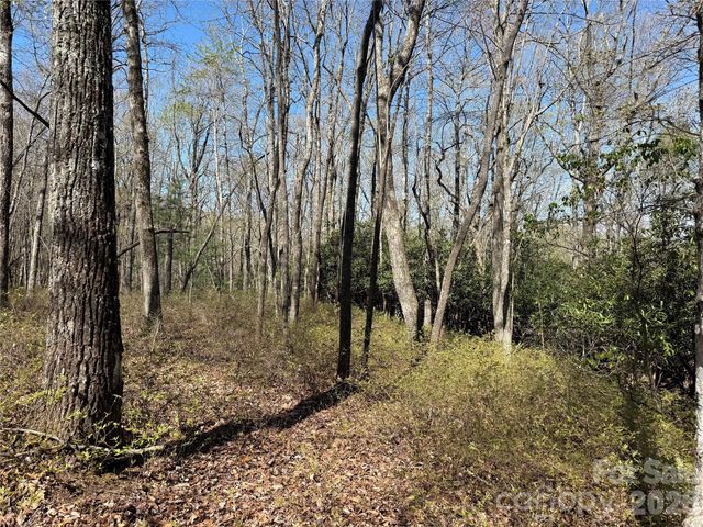 TBD White Oak Terrace 9, Brevard, NC 28712