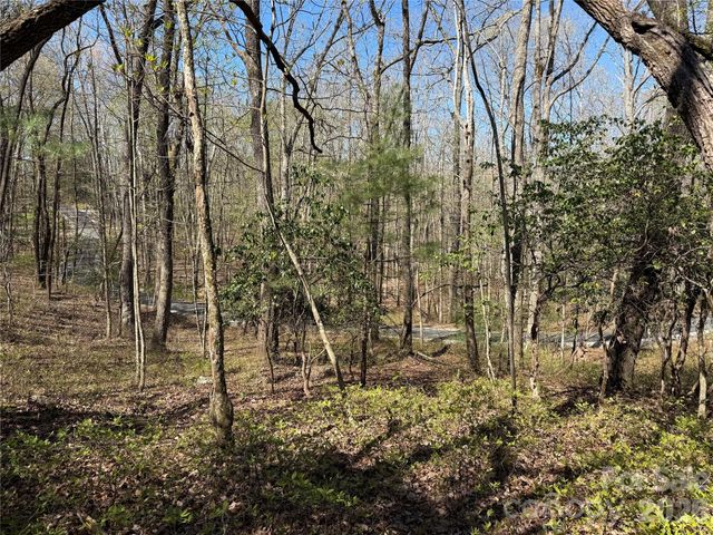 TBD White Oak Terrace 9, Brevard, NC 28712