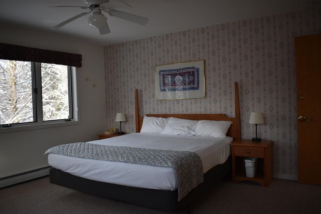 9 Trailside Executive 9, Cambridge, VT 05464