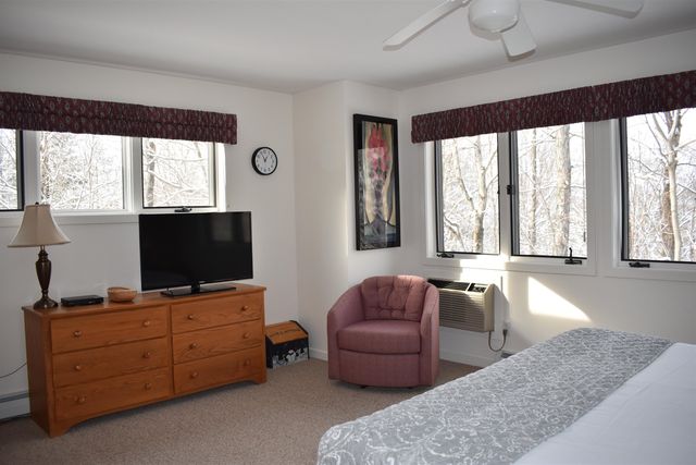 9 Trailside Executive 9, Cambridge, VT 05464