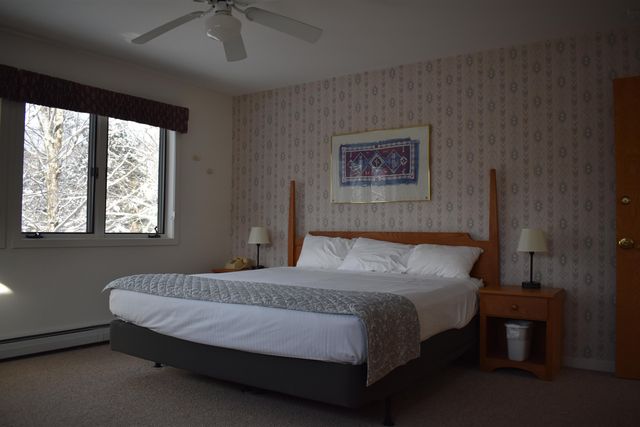 9 Trailside Executive 9, Cambridge, VT 05464