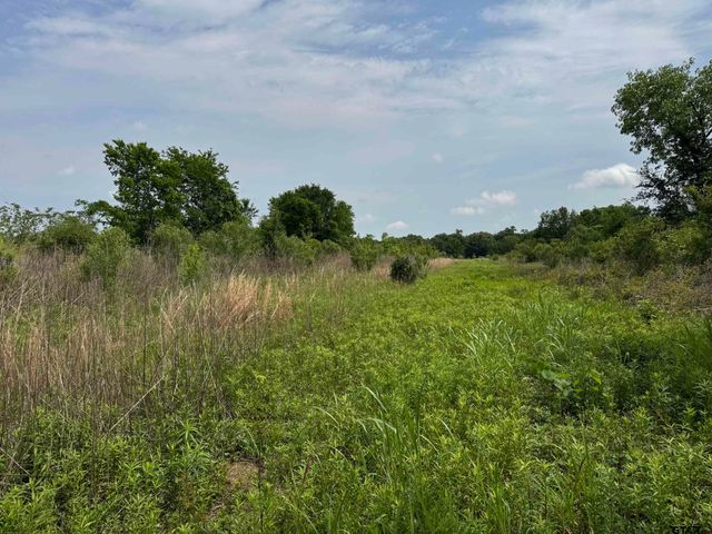 TBD S US Highway 287, Crockett, TX 75835