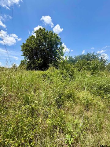 TBD S US Highway 287, Crockett, TX 75835