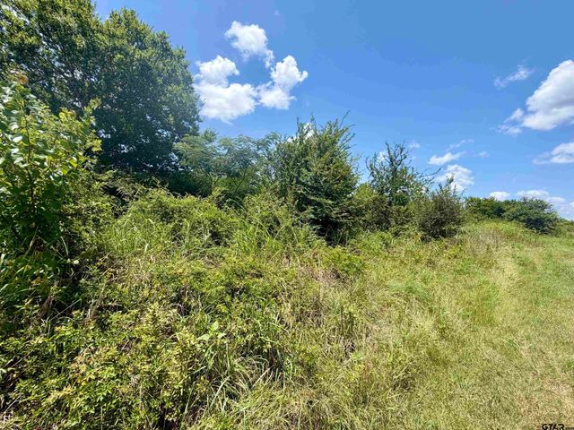TBD S US Highway 287, Crockett, TX 75835