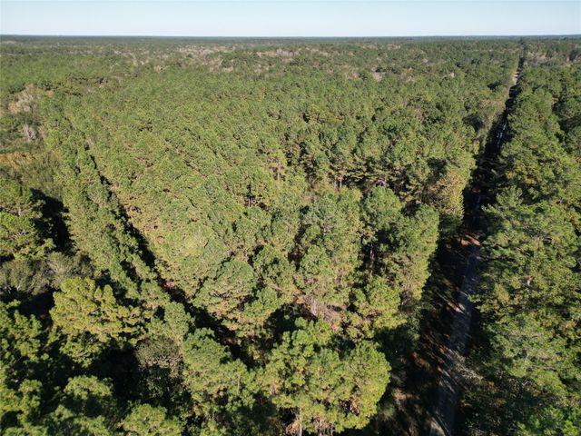 0 County Road 2125, Cleveland, TX 77327