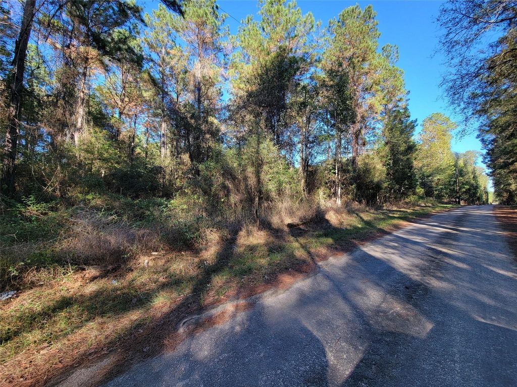 0 County Road 2125, Cleveland, TX 77327