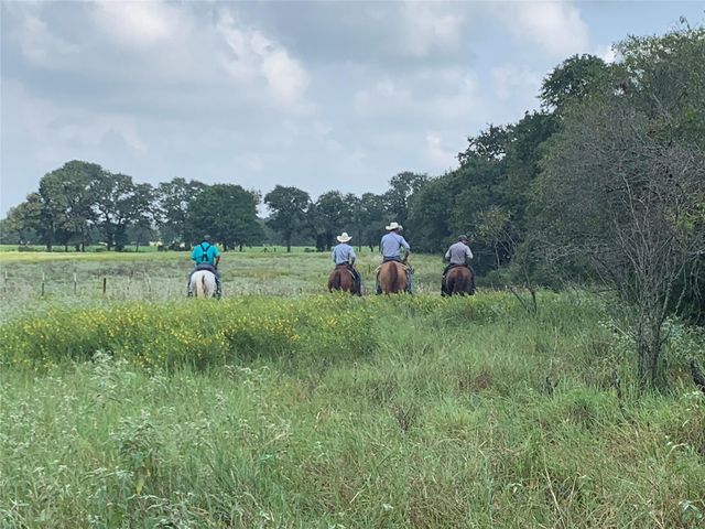 1450 Cattlemens ROW Tract 3, Lockhart, TX 78644