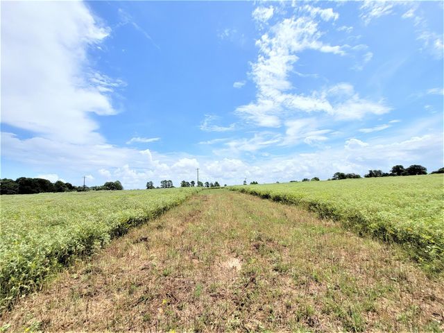 1450 Cattlemens ROW Tract 3, Lockhart, TX 78644