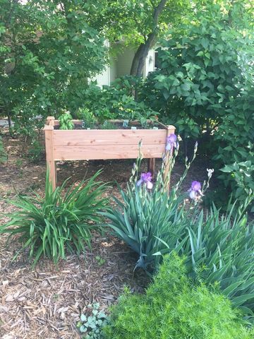 17379 Hayes Avenue, Lakeville, MN 55044