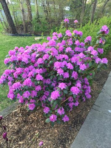 17379 Hayes Avenue, Lakeville, MN 55044