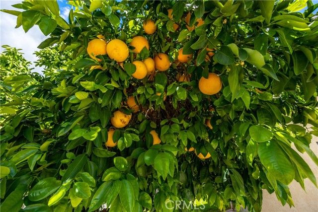 4438 Wanda, Hemet, CA 92544