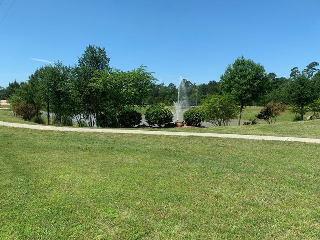 22005 Dove Canyon Lane, Porter, TX 77365