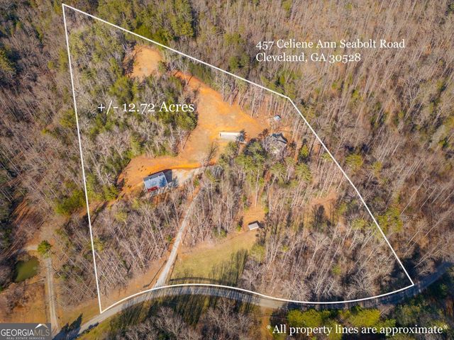 457 Celie Ann Seabolt Road, Cleveland, GA 30528