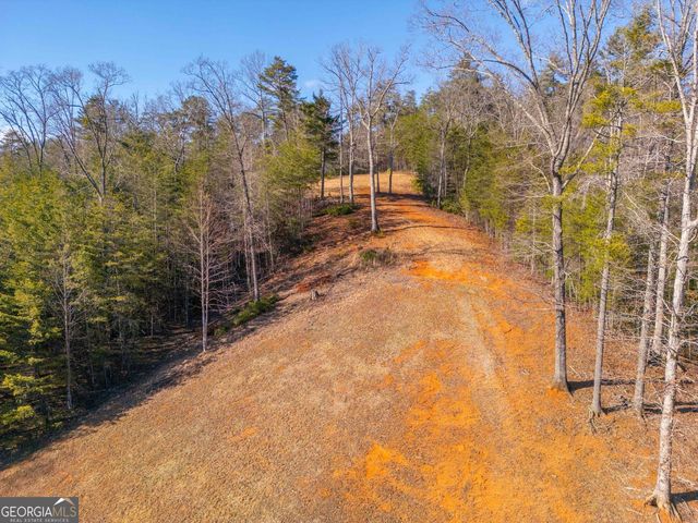 457 Celie Ann Seabolt Road, Cleveland, GA 30528