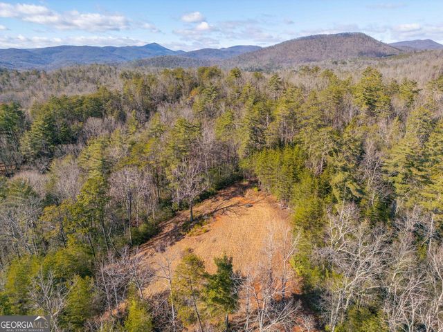 457 Celie Ann Seabolt Road, Cleveland, GA 30528