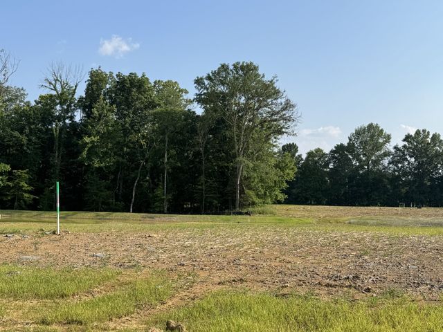 5166 High Park Hill Dr, Arrington, TN 37014