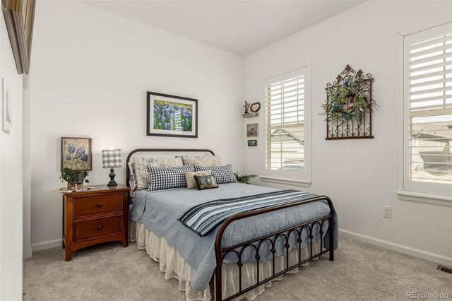 11853 Zebra Grass Way, Parker, CO 80138