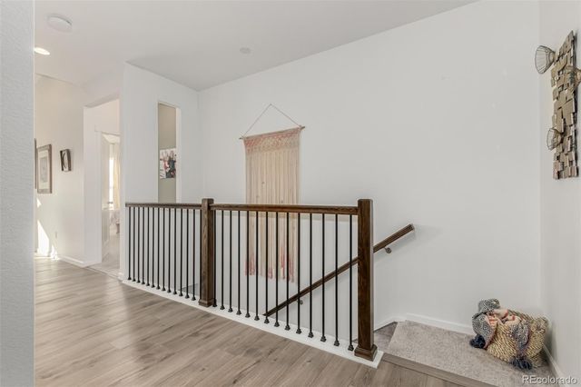 11853 Zebra Grass Way, Parker, CO 80138