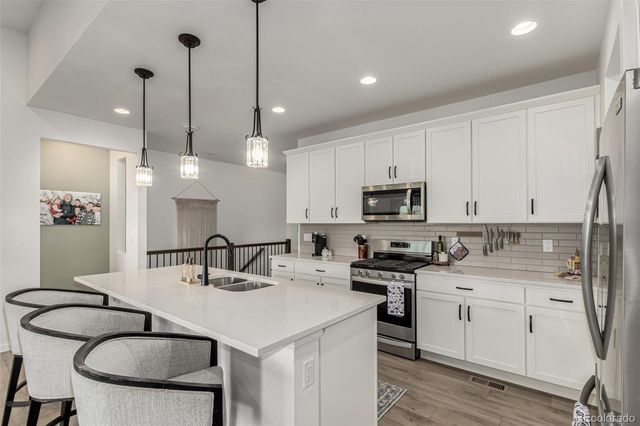 11853 Zebra Grass Way, Parker, CO 80138