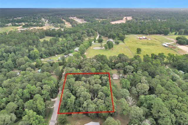 47A Dana Drive, New Waverly, TX 77358