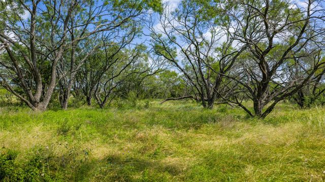 000 County Road 180 RD, Purmela, TX 76566