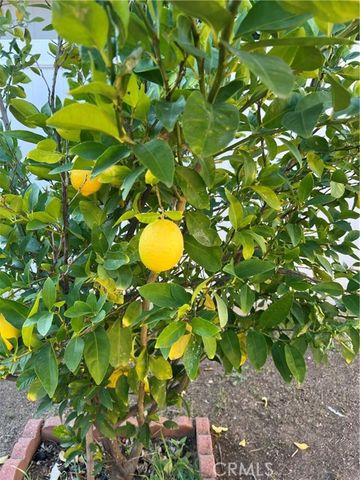 24931 Heil Drive, Moreno Valley, CA 92553