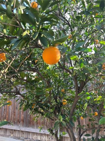 24931 Heil Drive, Moreno Valley, CA 92553