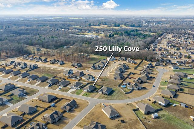 250 LILLY DR, Oakland, TN 38060