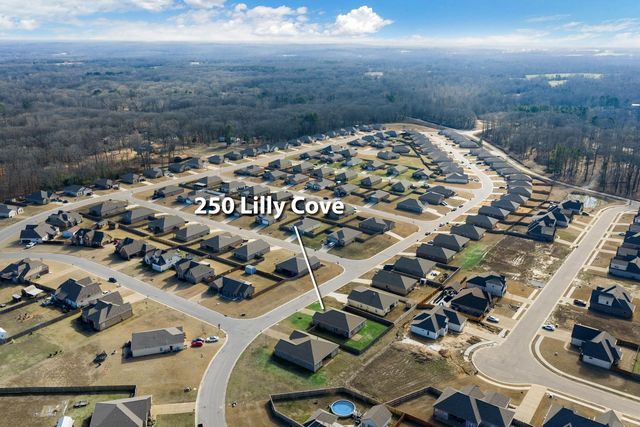 250 LILLY DR, Oakland, TN 38060