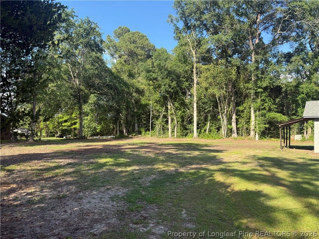 100 McRae Street, Red Springs, NC 28377 — photo 9