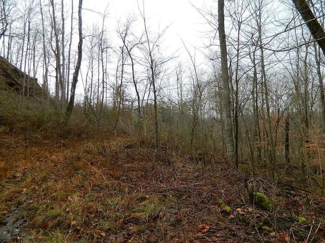 150 Brown Ridge Road, Irvine, KY 40336