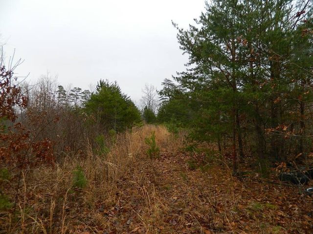 150 Brown Ridge Road, Irvine, KY 40336