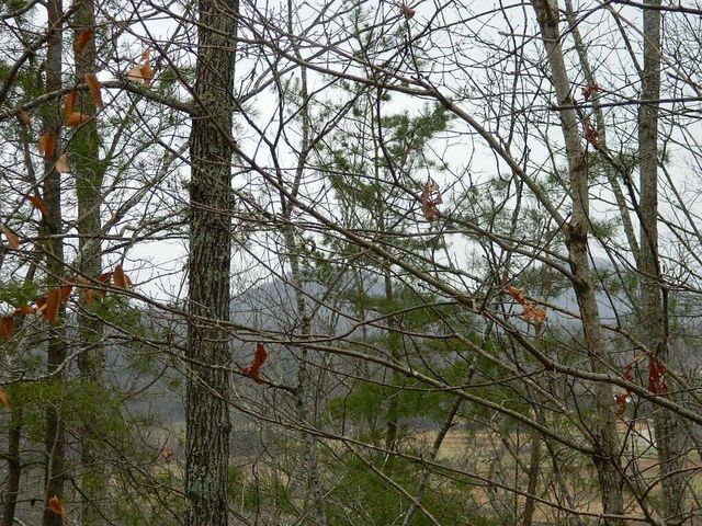 150 Brown Ridge Road, Irvine, KY 40336