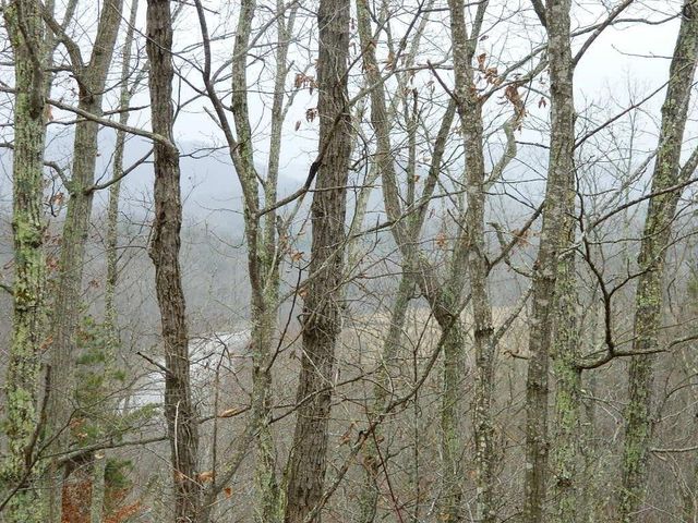 150 Brown Ridge Road, Irvine, KY 40336