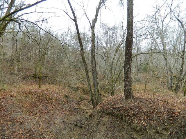 150 Brown Ridge Road, Irvine, KY 40336