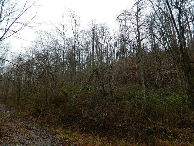 150 Brown Ridge Road, Irvine, KY 40336