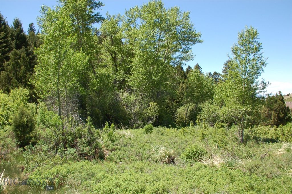 Block 249 Virginia City Original Townsite, Virginia City, MT 59755 photo 3