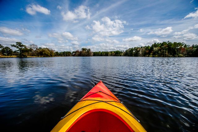 1012 Red Turnstone Run, Summerville, SC 29485