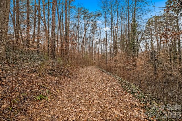 57 Parrot Road, Candler, NC 28715