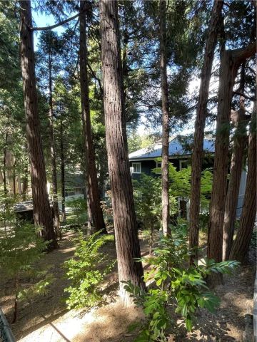 24379 San Moritz, Crestline, CA 92325