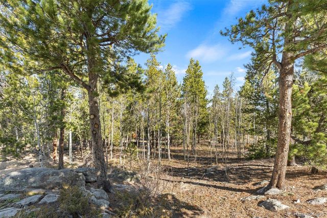 11 Randall Ridge Road, Black Hawk, CO 80422