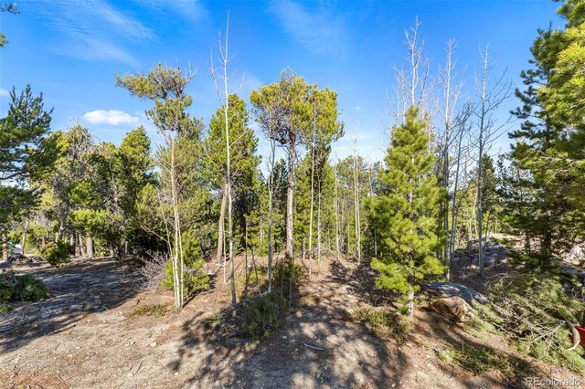 11 Randall Ridge Road, Black Hawk, CO 80422