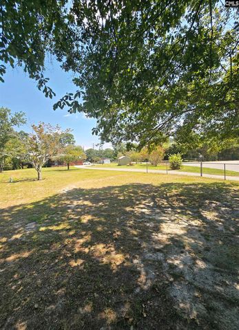 155 S East Ave, Leesville, SC 29070